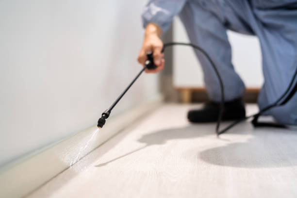 Bed Bug Pre-Treatment Preparation Assessment in Perryman