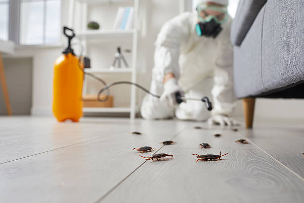 Post-Treatment Bed Bug Interceptor Monitoring in Perryman