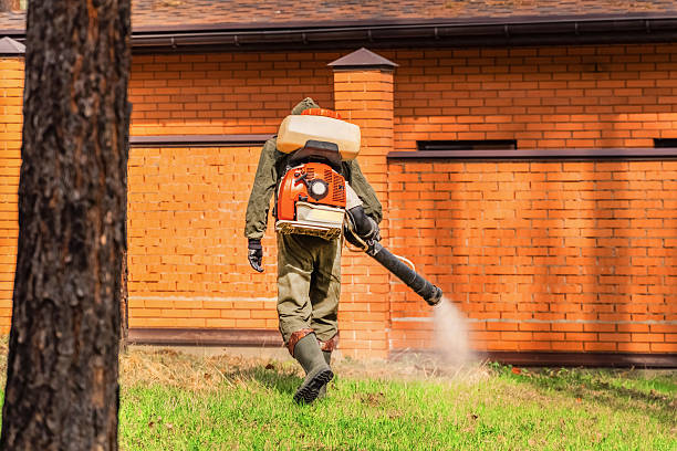 Bed Bug Clearance Verification and Documentation in Perryman
